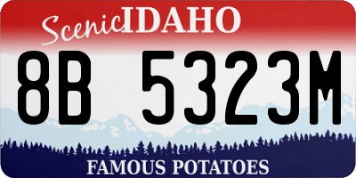 ID license plate 8B5323M