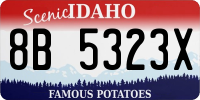 ID license plate 8B5323X