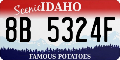 ID license plate 8B5324F