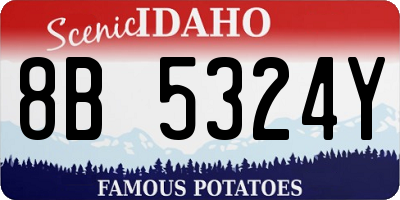 ID license plate 8B5324Y