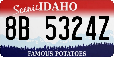 ID license plate 8B5324Z