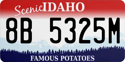 ID license plate 8B5325M