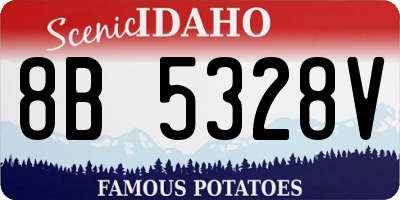 ID license plate 8B5328V
