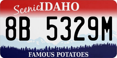 ID license plate 8B5329M