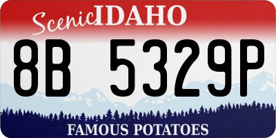 ID license plate 8B5329P