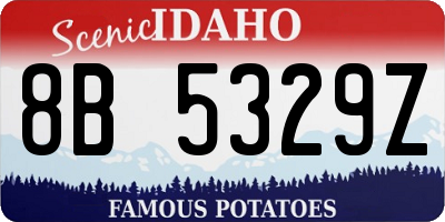 ID license plate 8B5329Z