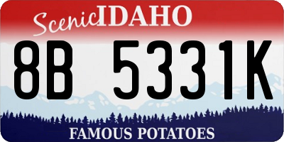 ID license plate 8B5331K