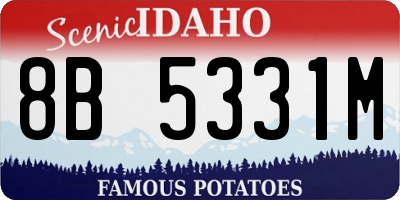ID license plate 8B5331M