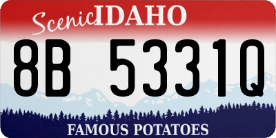 ID license plate 8B5331Q