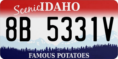 ID license plate 8B5331V