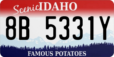 ID license plate 8B5331Y