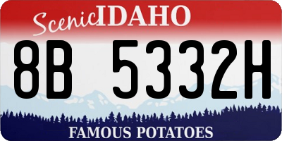 ID license plate 8B5332H