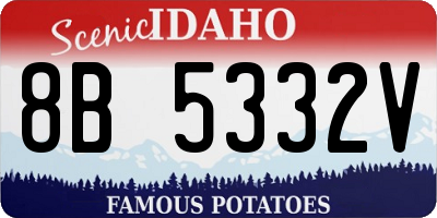 ID license plate 8B5332V