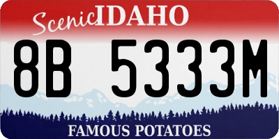 ID license plate 8B5333M