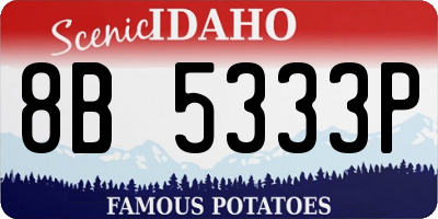ID license plate 8B5333P