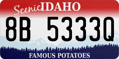 ID license plate 8B5333Q