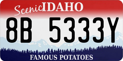 ID license plate 8B5333Y