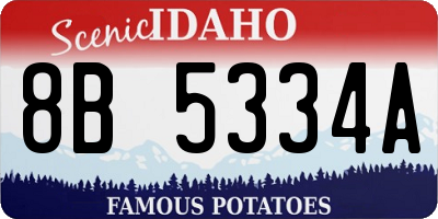 ID license plate 8B5334A