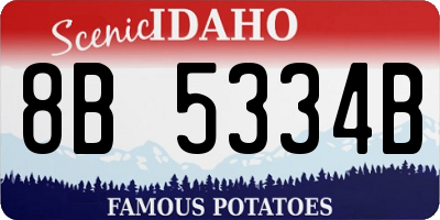 ID license plate 8B5334B