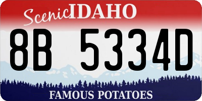 ID license plate 8B5334D