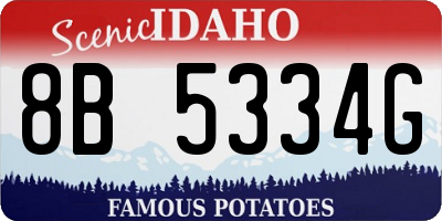 ID license plate 8B5334G