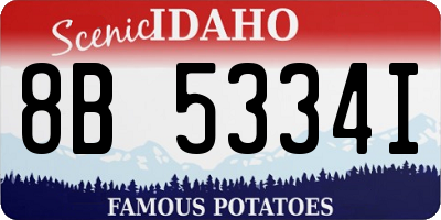 ID license plate 8B5334I