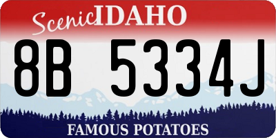 ID license plate 8B5334J