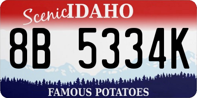 ID license plate 8B5334K