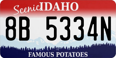 ID license plate 8B5334N
