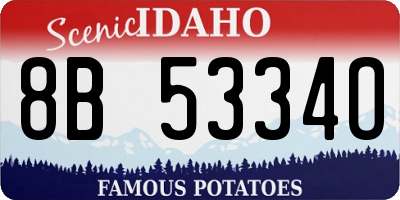 ID license plate 8B5334O