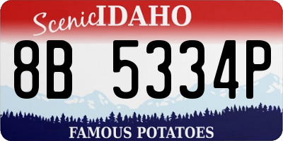 ID license plate 8B5334P