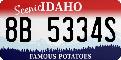 ID license plate 8B5334S