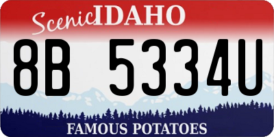ID license plate 8B5334U