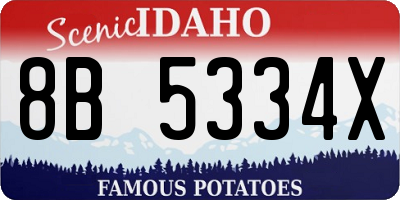 ID license plate 8B5334X