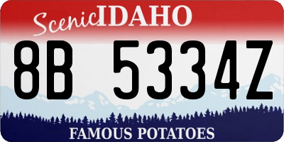ID license plate 8B5334Z