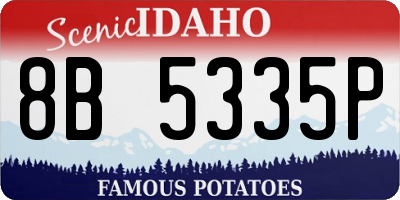 ID license plate 8B5335P