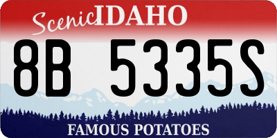ID license plate 8B5335S