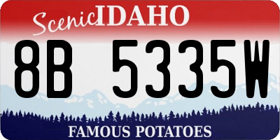 ID license plate 8B5335W