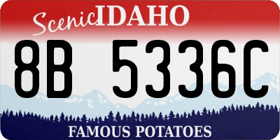 ID license plate 8B5336C