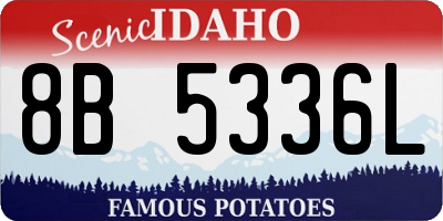 ID license plate 8B5336L