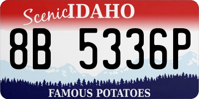 ID license plate 8B5336P