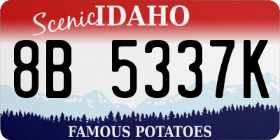 ID license plate 8B5337K