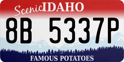 ID license plate 8B5337P