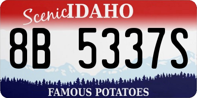 ID license plate 8B5337S