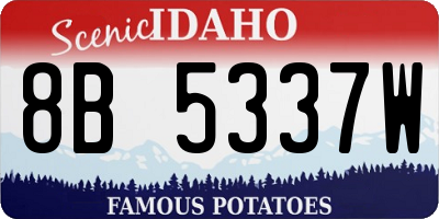 ID license plate 8B5337W