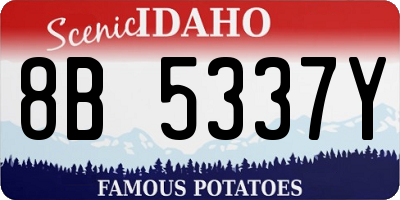 ID license plate 8B5337Y