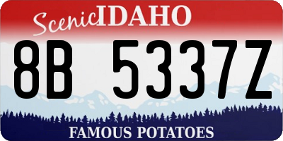 ID license plate 8B5337Z