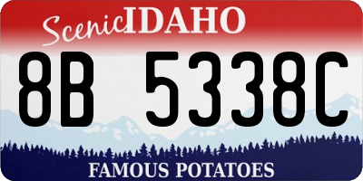 ID license plate 8B5338C