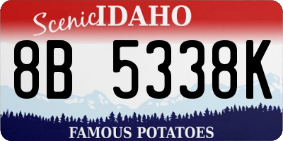 ID license plate 8B5338K