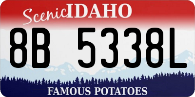 ID license plate 8B5338L